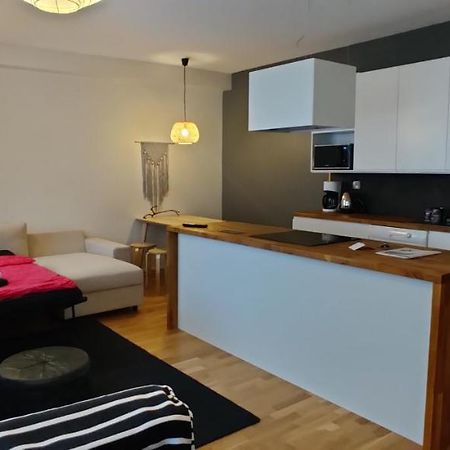 רובניימי City Center Apartment With Sauna, Rovakatu 13 מראה חיצוני תמונה